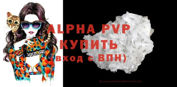 a pvp Каменногорск