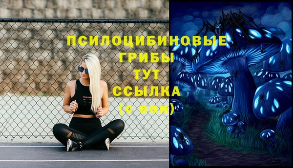 a pvp Каменногорск