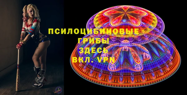 mdpv Каменка