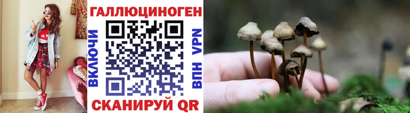 Купить  Советск  Псилоцибиновые грибы прущие грибы 